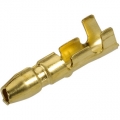 Bullet Terminals Bullet Terminals