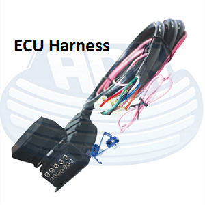 ECU Harness