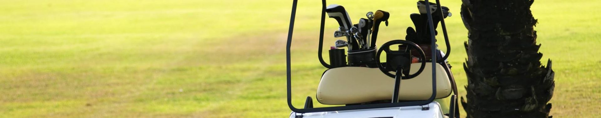 Sentry Longest Golf Cart Batteries Sentry Longest Golf Cart Batteries