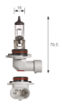 H12 Halogen Globes H12 Halogen Globes