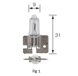 H2 Halogen Globes