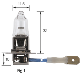 H3 Halogen Globes