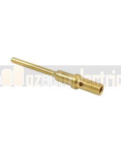 Deutsch 0460-202-2031 Size 20 Gold Pin