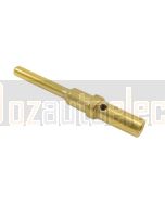 Deutsch 0460-202-1631 Gold Pin Size 16