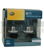 H11-PW100DP2