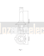 Ionnic 62203 Globe Halogen H4 Rally 12V100/80W P43t-3