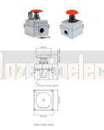 Ionnic CHS3 Switch Kit Push Momentary (N/O & N/C)