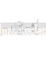 Ionnic TM1704 Switch Micro TM Series 27mm Lever with Roller