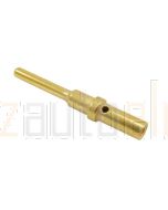 Deutsch 0460-202-1631/100 Gold Pin Size 16