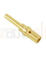 Deutsch 0460-220-1231/500 Size 12 Gold Pin - Box of 500