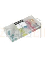 Ionnic ATM Mini Blade Fuse Kit - 100 Pieces