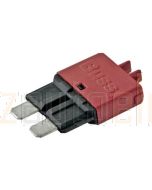 Ionnic CB227-10/10 227 Series Circuit Breaker ATC Blade - 10A, Pack of 10 (Red)