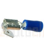Quikcrimp Blue 6.3mm Piggyback/ Adaptor Terminal 100 Pack