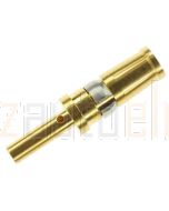 TE Connectivity 212014-1 Amplimite 109 Power VIII Series Size 8 Gold Contact Socket