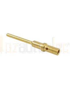Deutsch 0460-202-2031/500 Size 20 Gold Pin - Box of 500