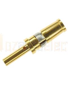 TE Connectivity 212014-1 Amplimite 109 Power VIII Series Size 8 Gold Contact Socket