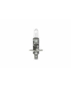 Hella 8GH178555641 Bulb, Headlight