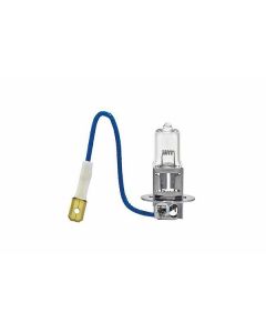 Hella 8GH178555651 Bulb, Headlight