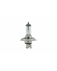 Hella 8GJ178555901 Bulb, Headlight