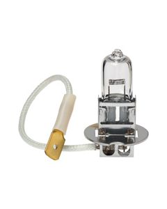 Hella H3 Premium Long Life Halogen Globe - Plus 100 (YC2470LTS)