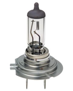 Hella H7 Premium Long Life Halogen Globe - Plus 100 (CA2470LTS)