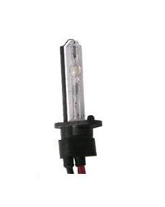 H1 HID Bulb Xenon in 70W 55W or 35W and 6000K 5000K or 43000K