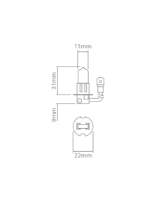 Ionnic 64156 Globe Halogen H3 24V 70W PK22s