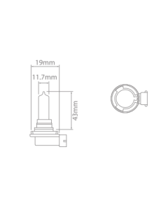 Ionnic 64213 Globe Halogen H9 12V 65W PGJ19-5